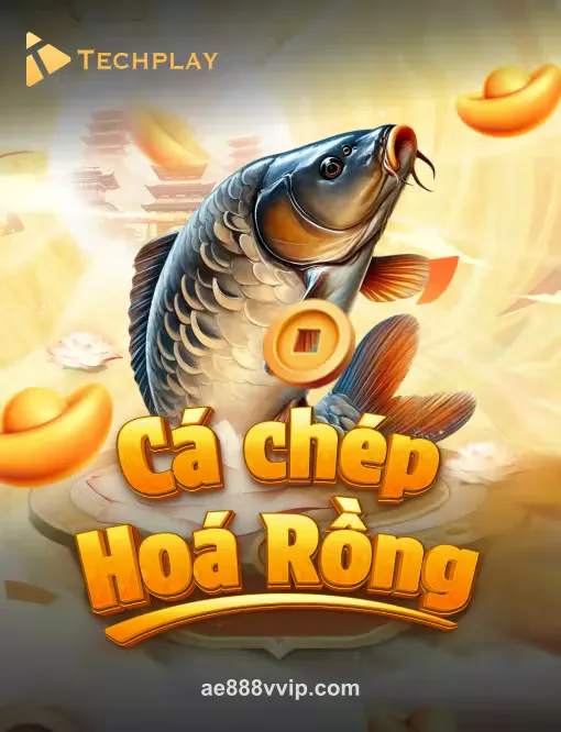 Hình ảnh ca_chep_hoa_rong tại AE888